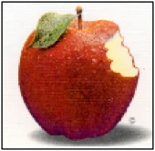 Kulka Dental Associates logo